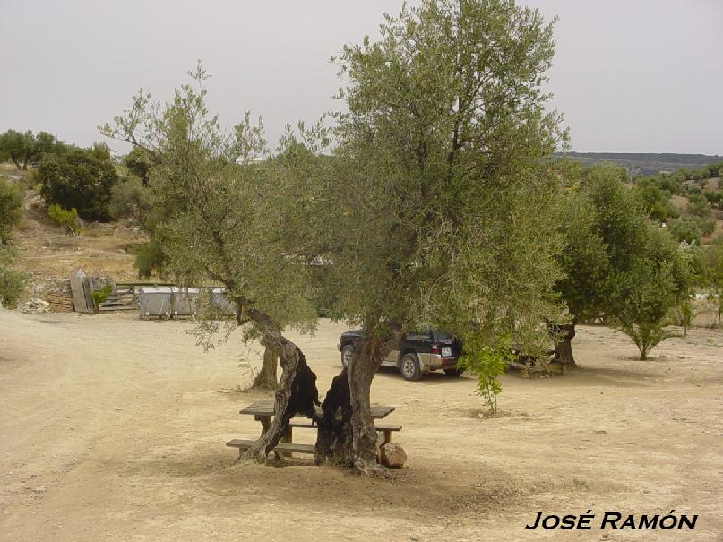 Foto de Olvera (Cádiz), España