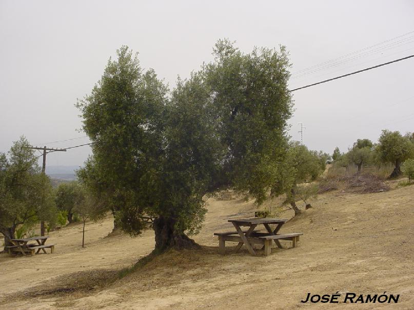 Foto de Olvera (Cádiz), España