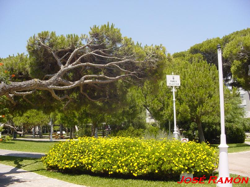 Foto de Rota (Cádiz), España