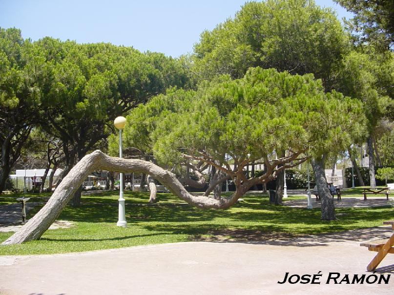 Foto de Rota (Cádiz), España