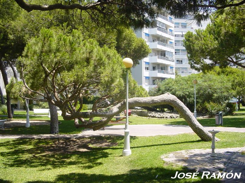 Foto de Rota (Cádiz), España