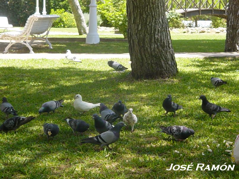 Foto de Rota (Cádiz), España