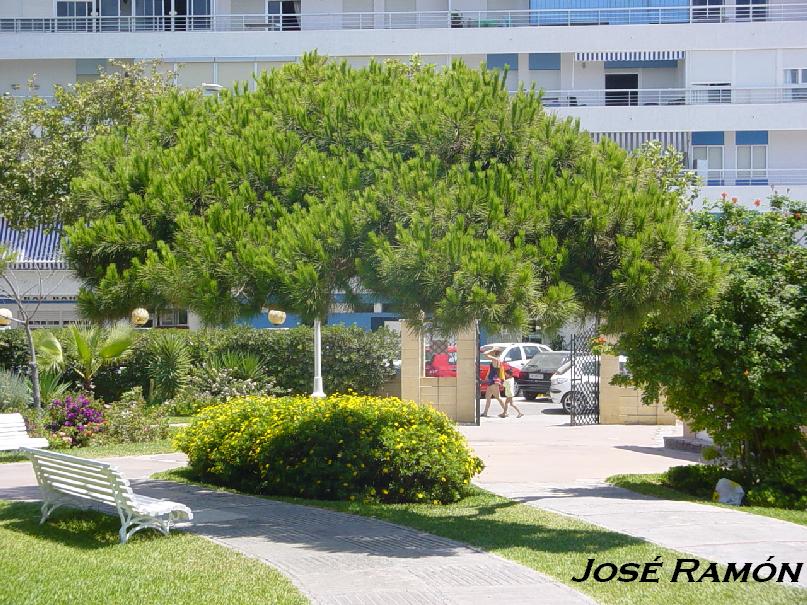 Foto de Rota (Cádiz), España