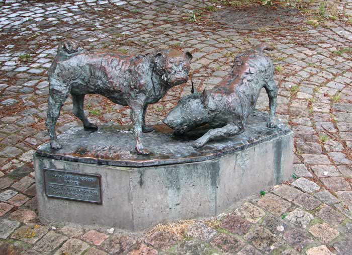 Foto de Gotemburgo, Suecia