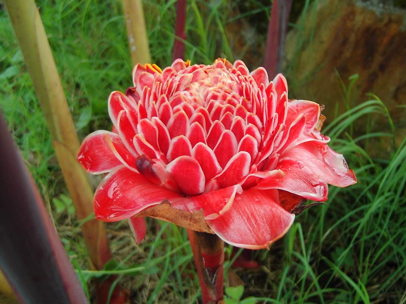 Foto de Bocono Edo. Trujillo, Venezuela