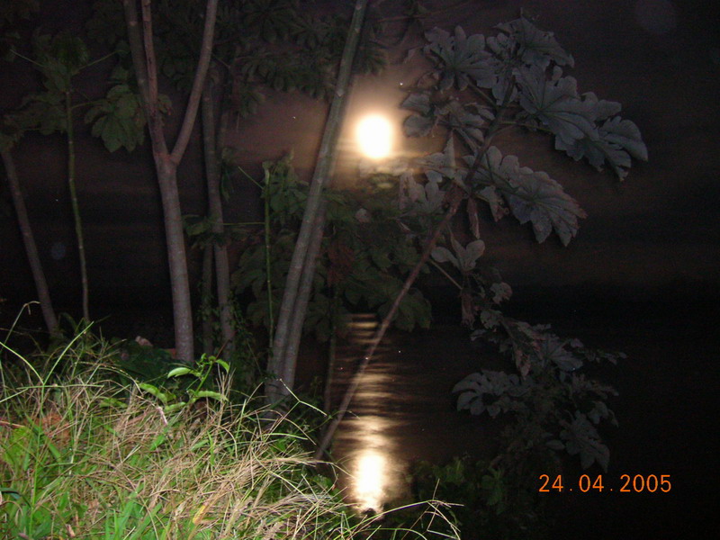 Foto de Puerto Maldonado, Perú