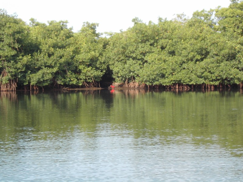 Foto de Chichiriviche Edo. Falcon, Venezuela