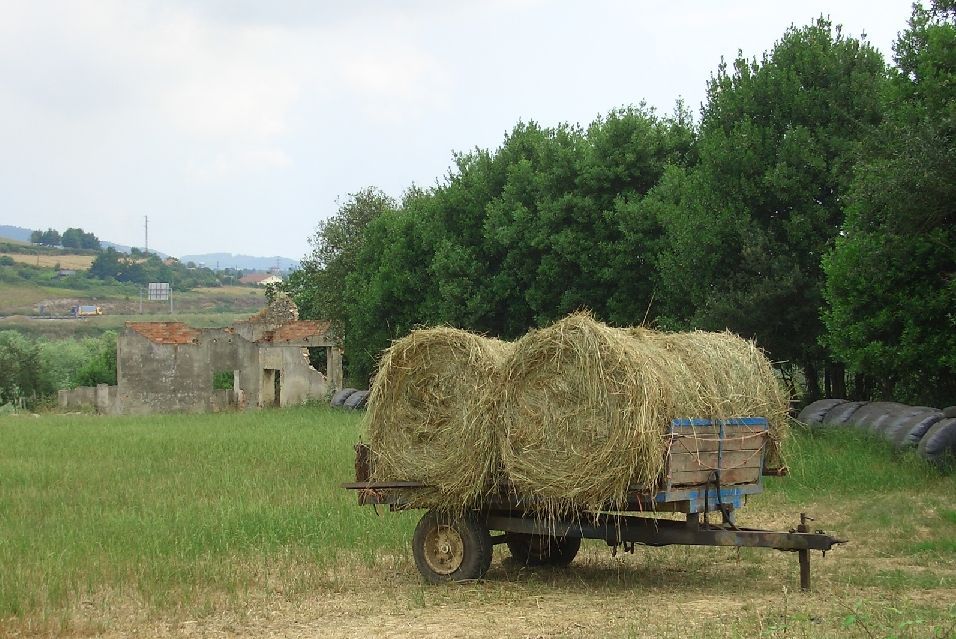 Foto de Gijón (Asturias), España