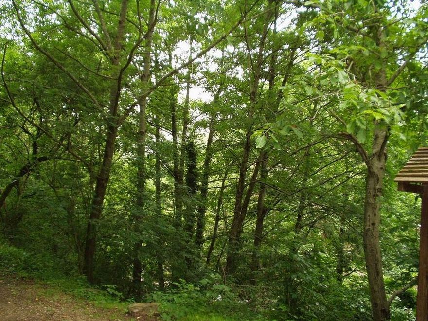 Foto de Barcena Mayor (Cantabria), España