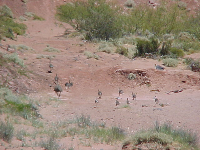 Foto de Plaza Huincul, Argentina