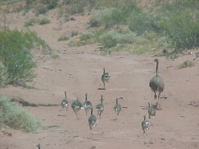 Foto de Plaza Huincul, Argentina