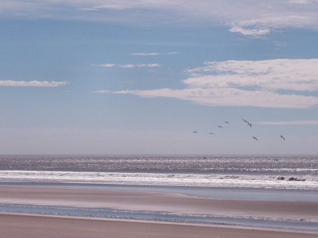 Foto de Isla Tasajera, El Salvador