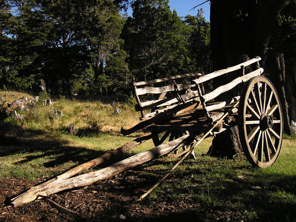 Foto de Lago Huechulafquen, Argentina