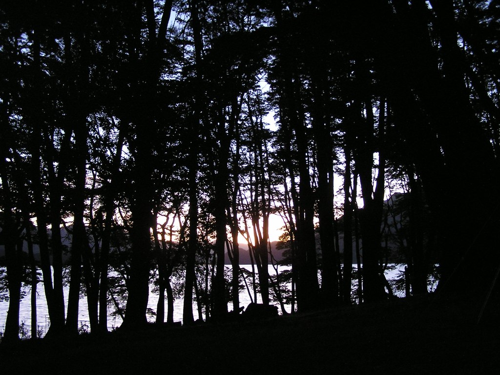 Foto de Lago Huechulafquen, Argentina