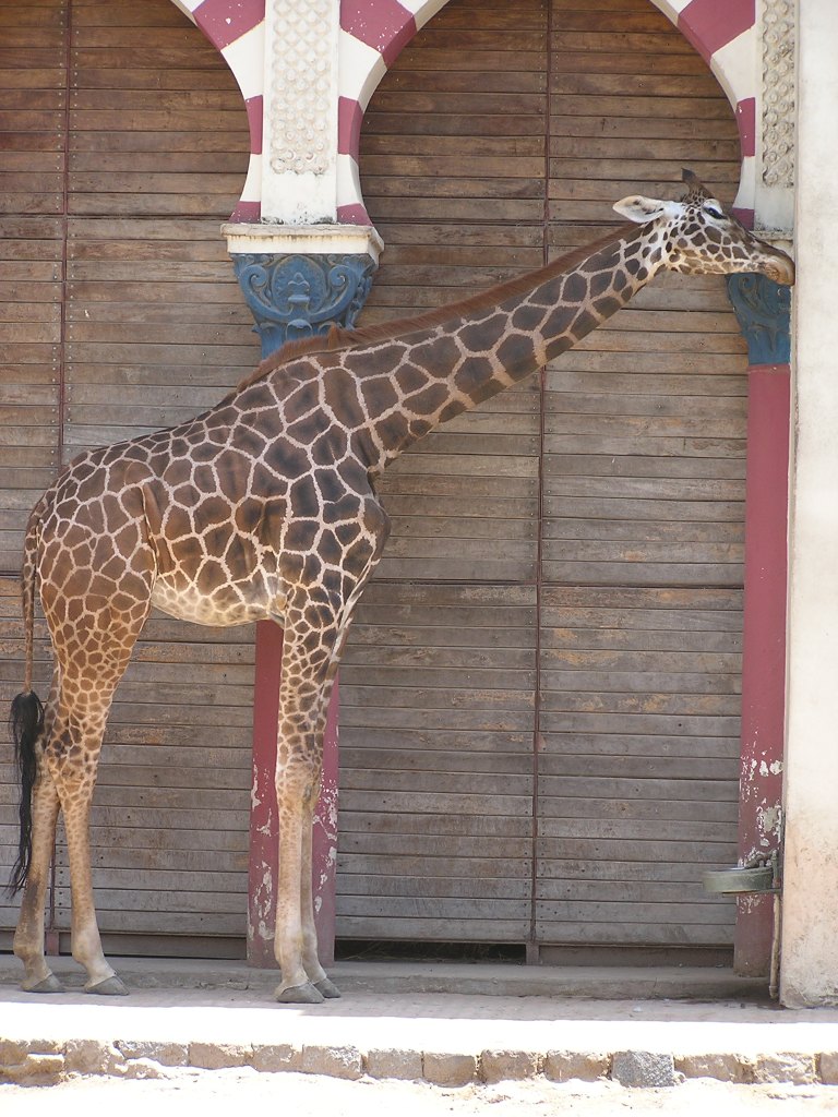 Foto de Buenos Aires, Argentina