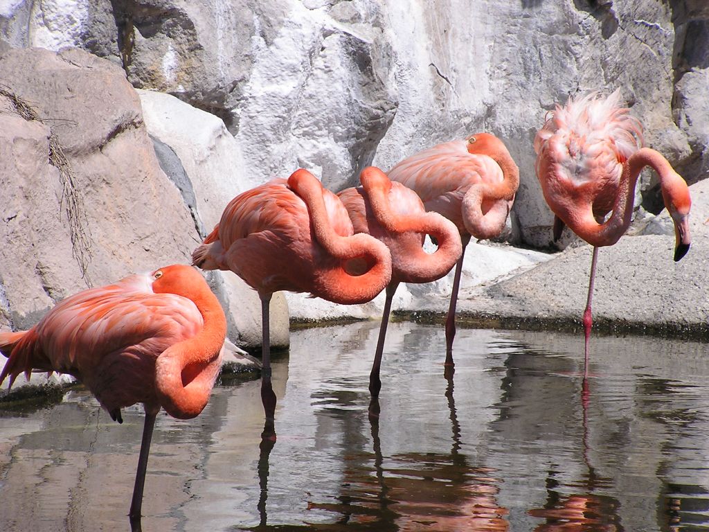 Foto de Escobar, Argentina