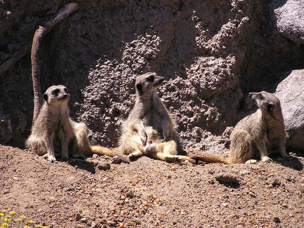 Foto de Escobar, Argentina