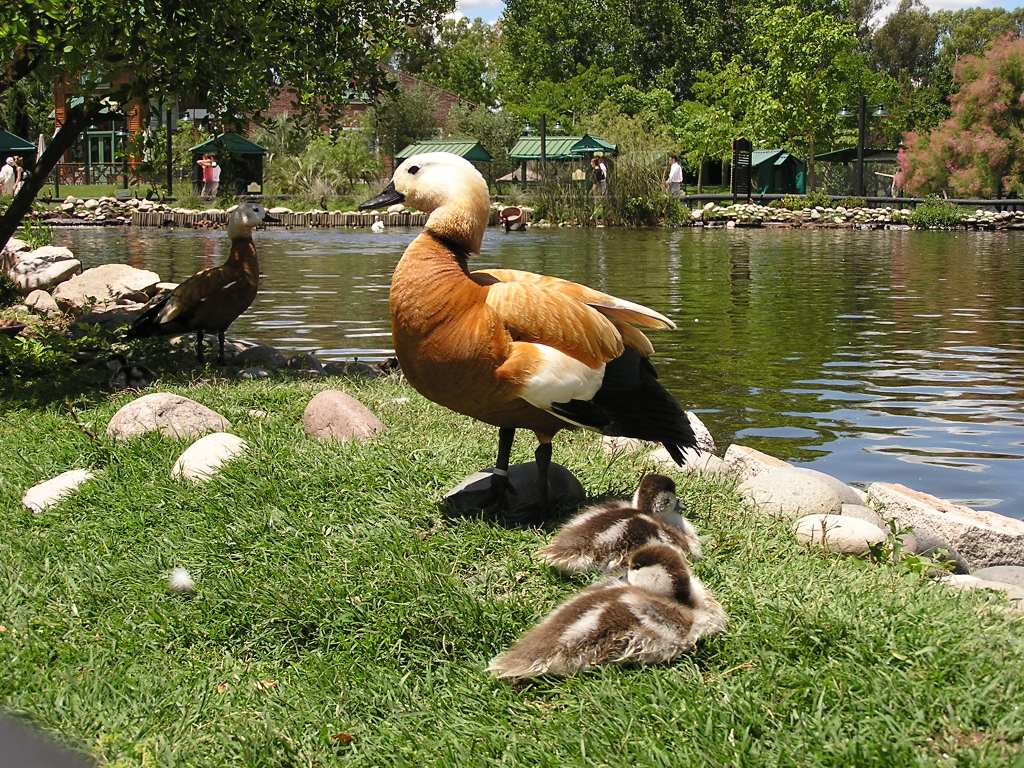 Foto de Escobar, Argentina