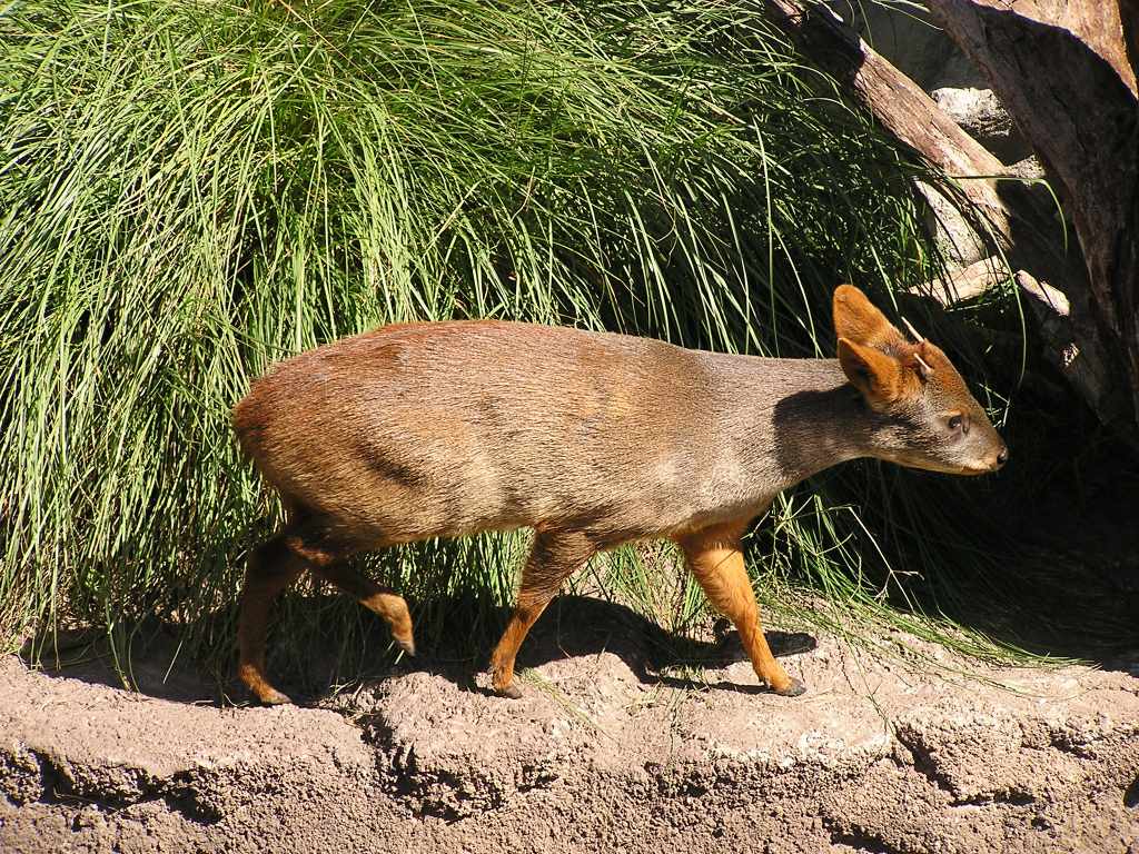 Foto de Escobar, Argentina