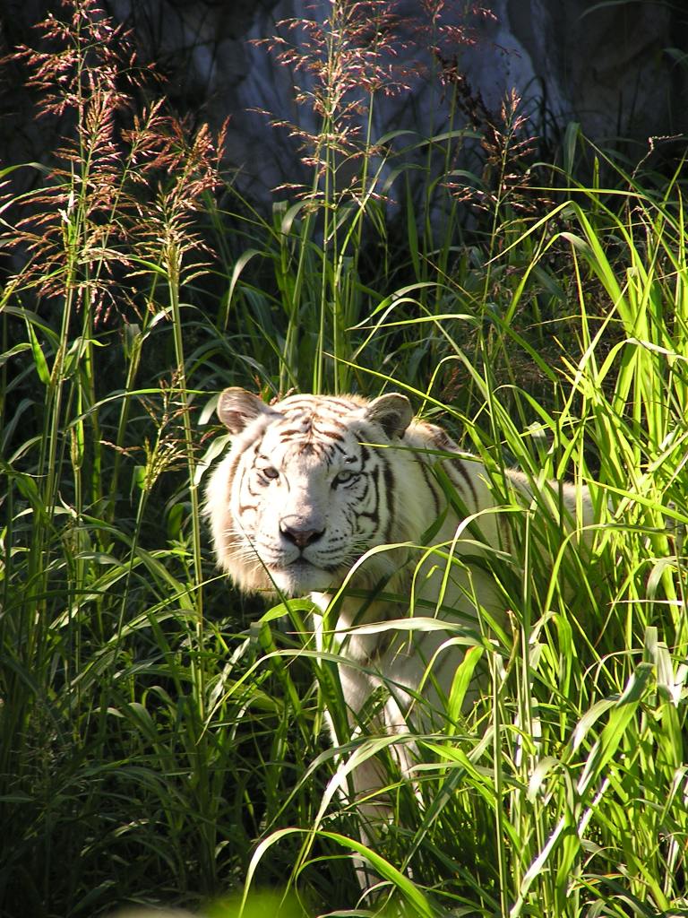Foto de Escobar, Argentina