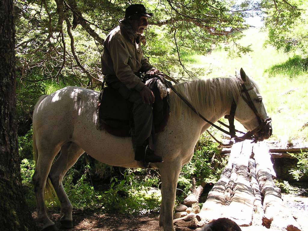 Foto de Lago Paimún, Argentina