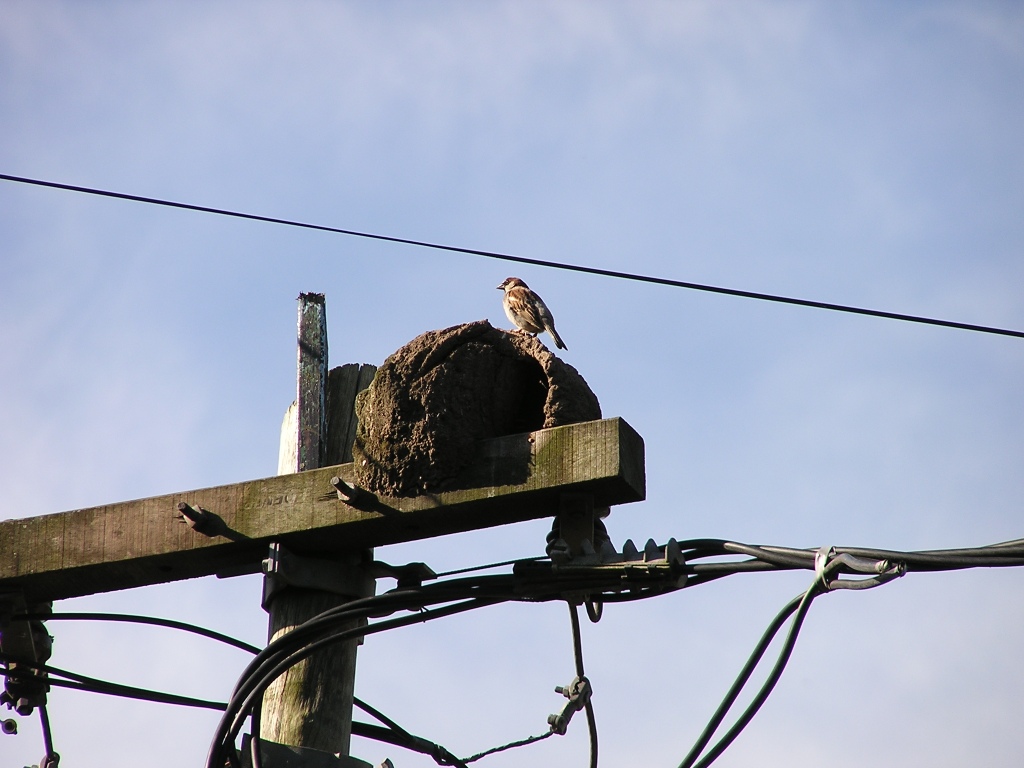 Foto de General Rodriguez, Argentina