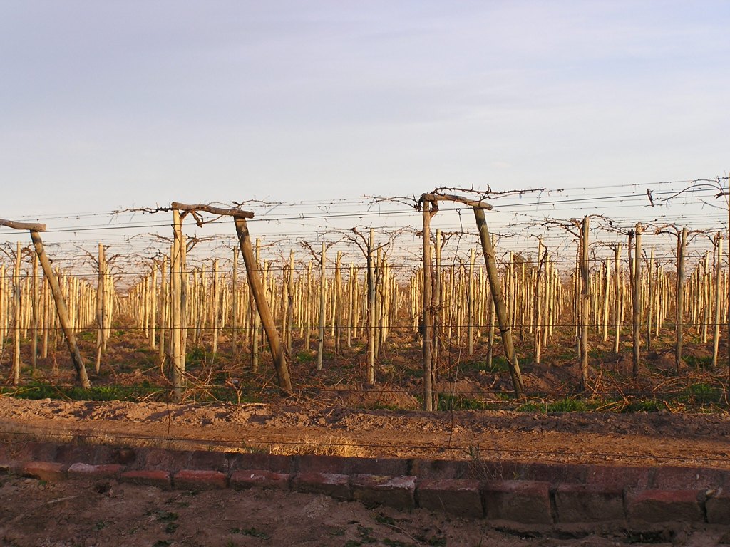 Foto de San Juan, Argentina