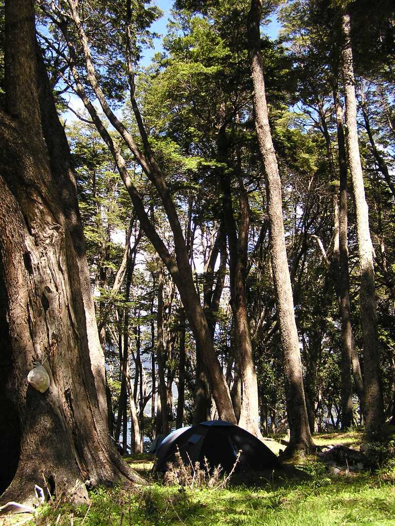 Foto de Lago Huechulafquen, Argentina