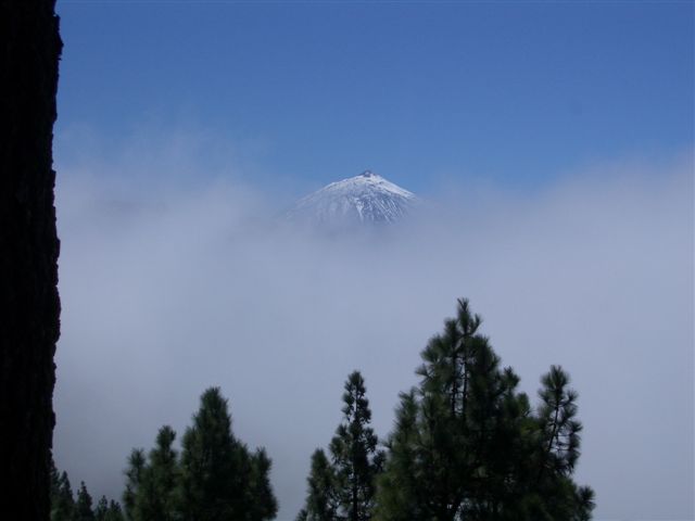 Foto de Tenerife (Santa Cruz de Tenerife), España
