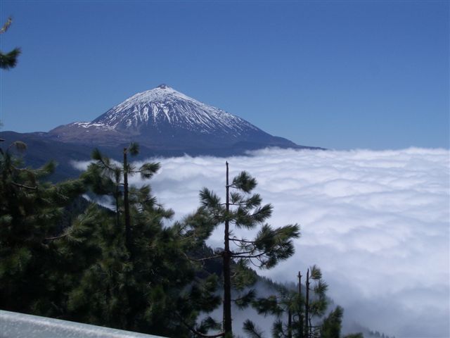 Foto de Tenerife (Santa Cruz de Tenerife), España