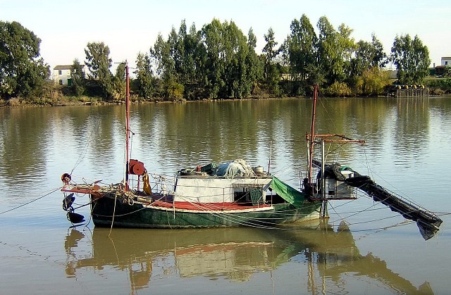 Foto de Coria del Río (Sevilla), España