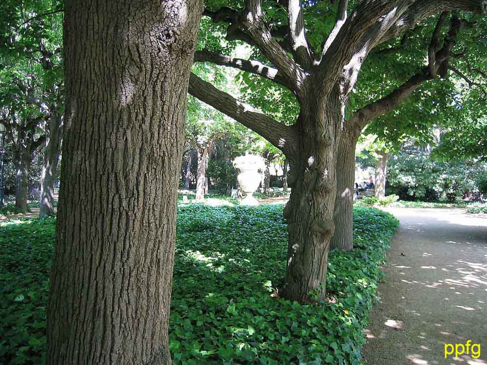 Foto de Barcelona (Cataluña), España