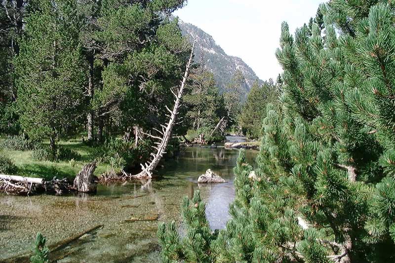 Foto de Lerida (Lleida), España