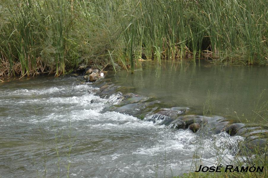 Foto de Algodonales (Cádiz), España