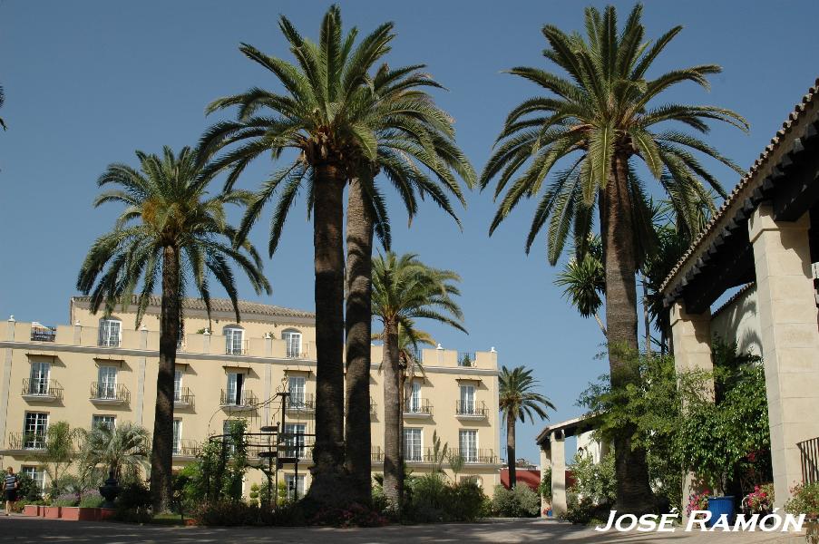 Foto de Jerez  de la Frontera (Cádiz), España