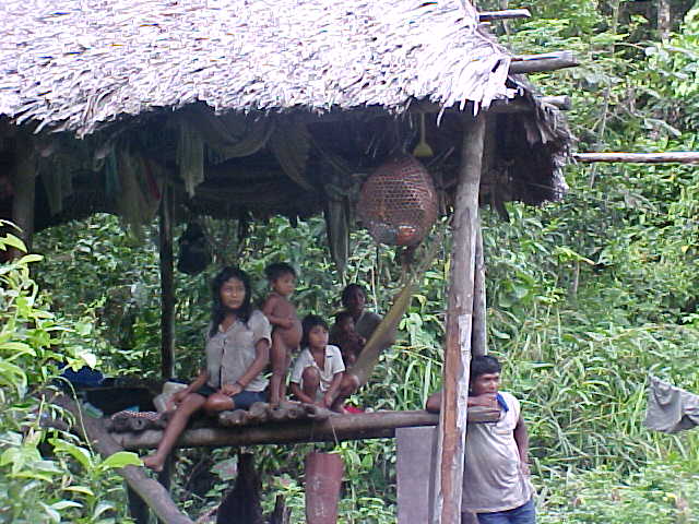 Foto de Delta Amacuro, Venezuela