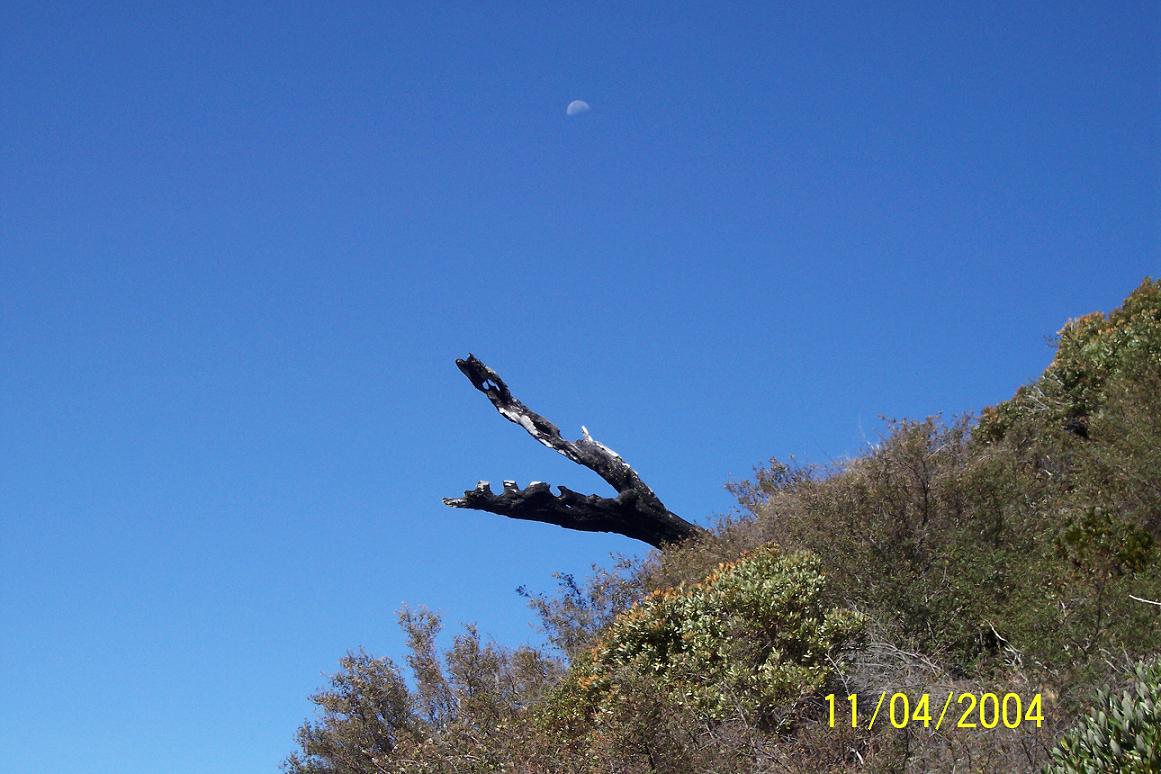 Foto de Parque Nacional Chirripo, Costa Rica
