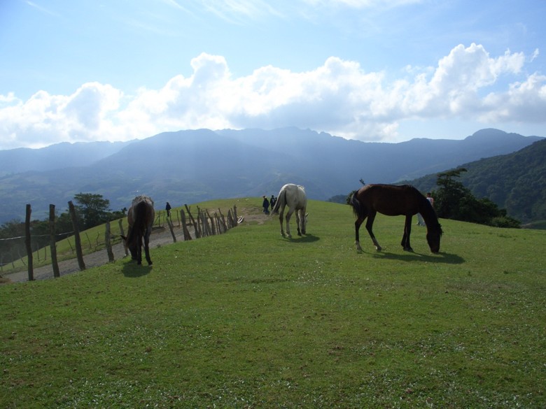 Foto de Barquisimeto, Venezuela