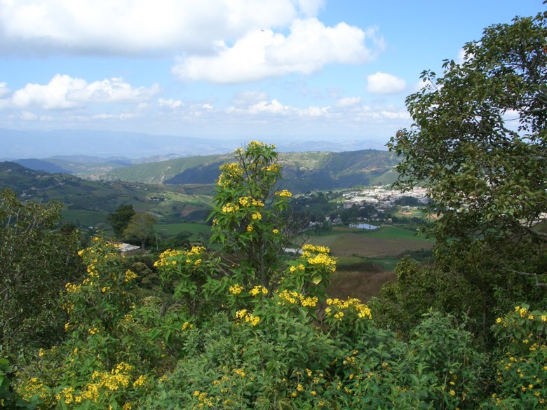 Foto de Barquisimeto, Venezuela