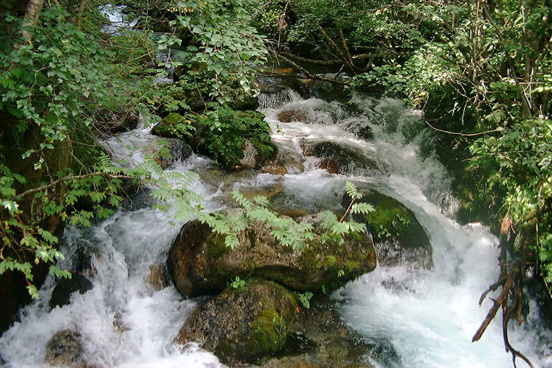 Foto de San Mauricio (Lleida), España