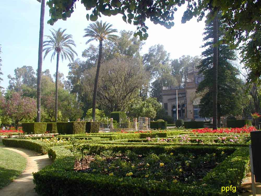 Foto de Sevilla (Andalucía), España