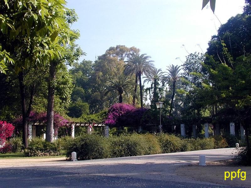 Foto de Sevilla (Andalucía), España