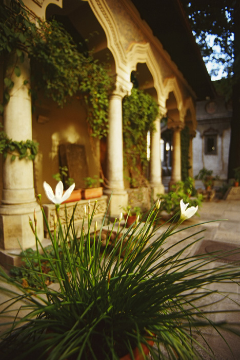 Foto de Bucarest, Rumania