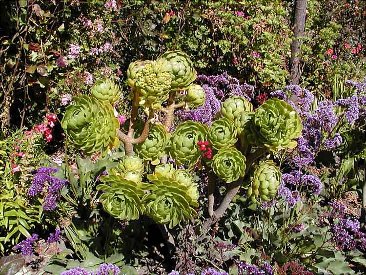 Foto de Chiquián, Perú