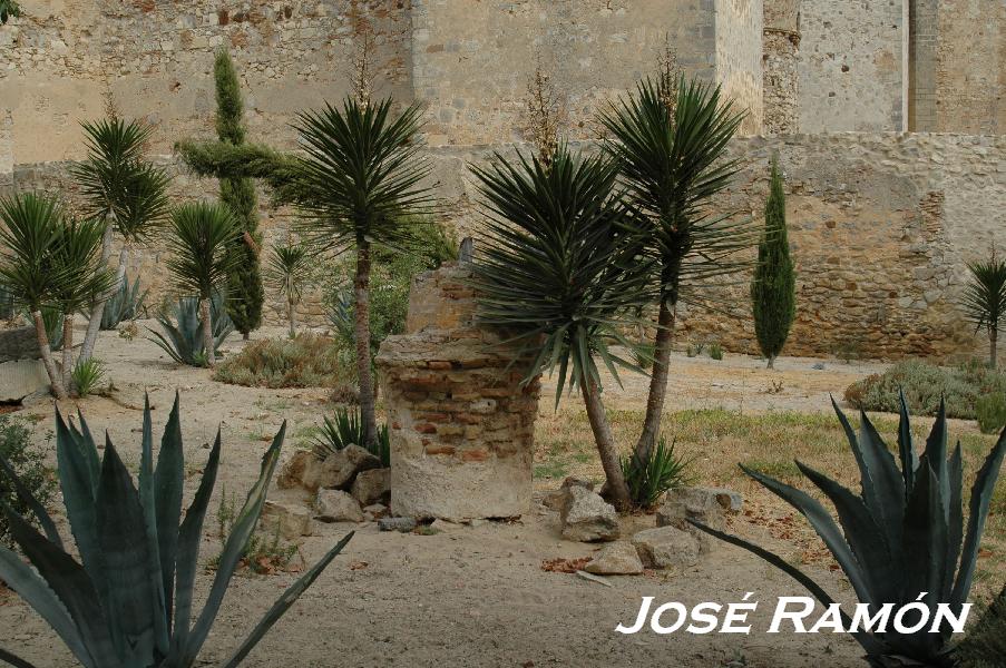 Foto de Sanlúcar de Barrameda (Cádiz), España