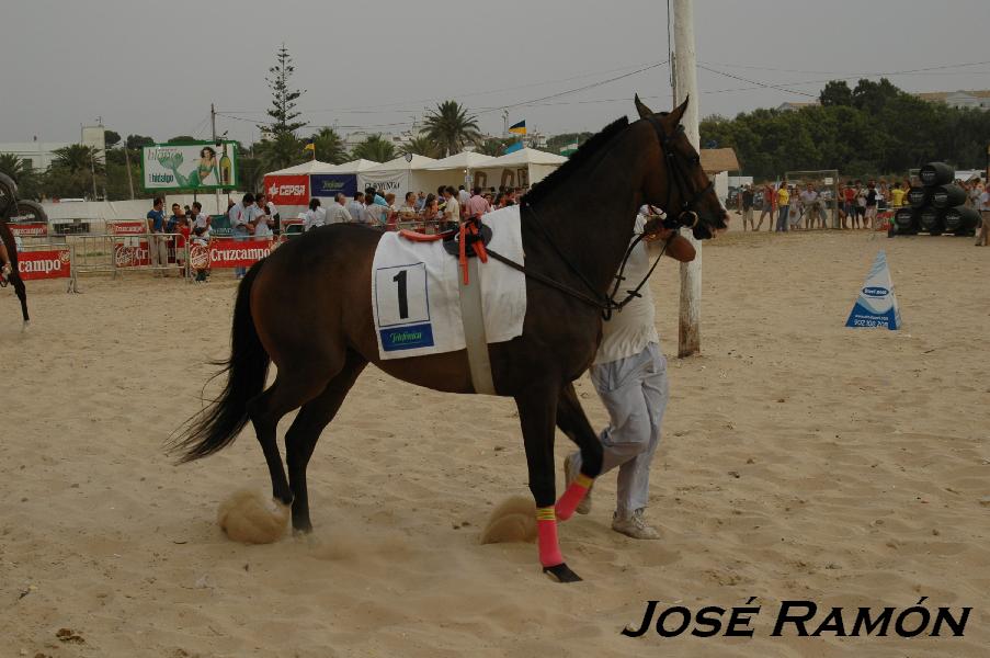 Foto de Sanlúcar de Barrameda (Cádiz), España