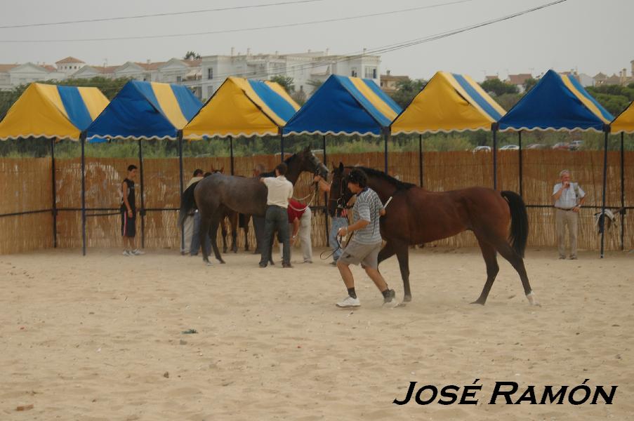 Foto de Sanlúcar de Barrameda (Cádiz), España