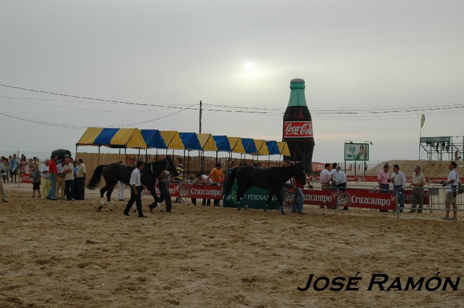 Foto de Sanlúcar de Barrameda (Cádiz), España