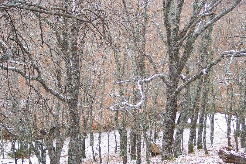 Foto de Menasalbas (Toledo), España