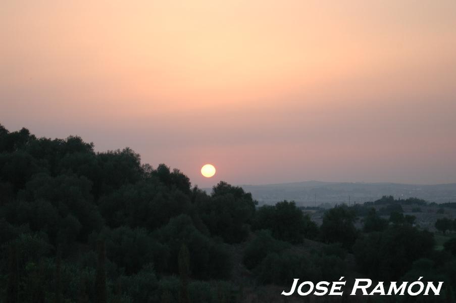 Foto de Jerez  de la Frontera (Cádiz), España